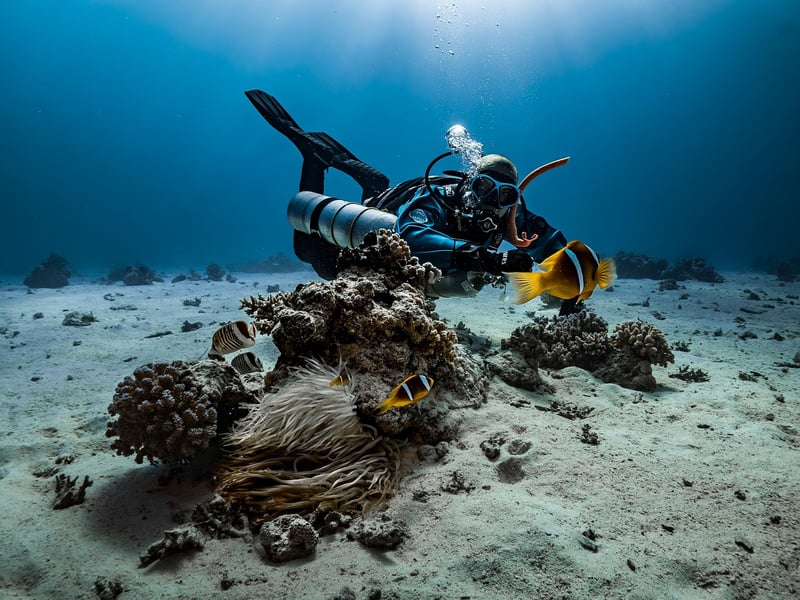 Snorkeling Gear