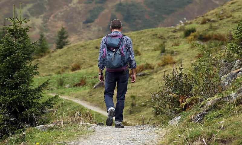 Hiking in the Wild